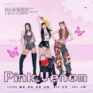 Pink Venom（cover：BLACKPINK）
