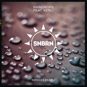 Raindrops (SCNDL Remix)