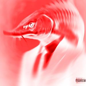 BASSHEAD STURGEON (Explicit)