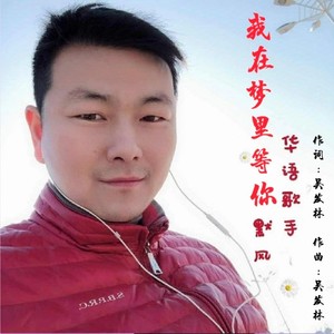 我在梦里等你