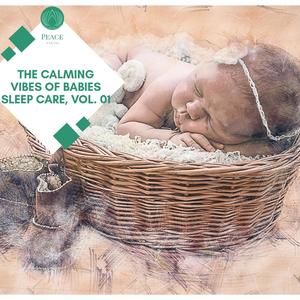 The Calming Vibes Of Babies Sleep Care, Vol. 01