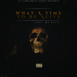 What a Time to Be Alive (Explicit)