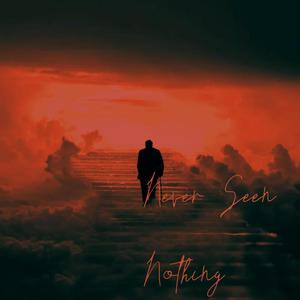 Never Seen Nothing (feat. JC Stewart & gavn!) (Explicit)
