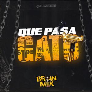 Que Pasa Gato (Explicit)