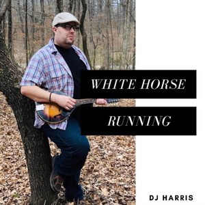 White Horse Running
