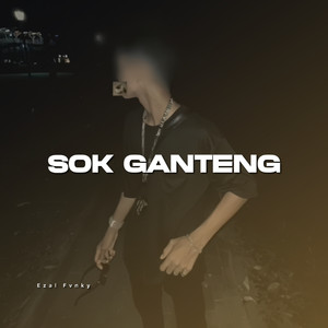 Sok Ganteng (Explicit)