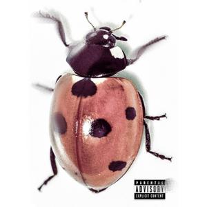 LOVEBUG (Explicit)