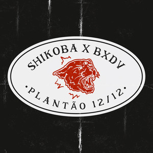 Plantão 12 / 12