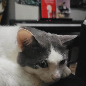 bad (feat. Strug) (Explicit)