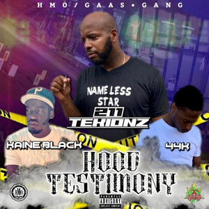 Hood Testimony (Explicit)