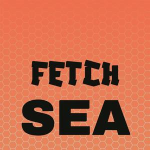 Fetch Sea