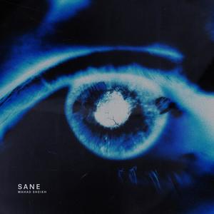 Sane (feat. Muhaimin)