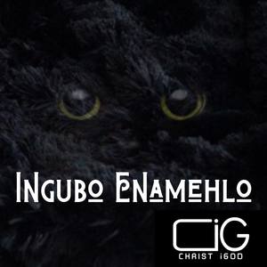 Ingubo Enamehlo