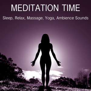 Flowing Water and Birds Near the Waterfall - Loopable With No Fade