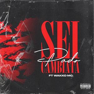 Sei cambiata (feat. Wakko MC & Elferna) [Explicit]