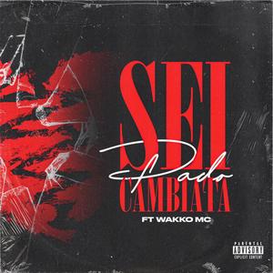 Sei cambiata (feat. Wakko MC & Elferna) (Explicit)