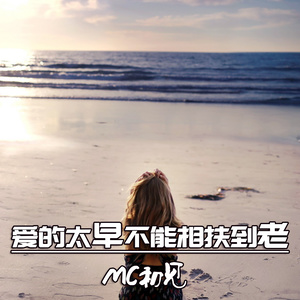 你没错 是我爱多了