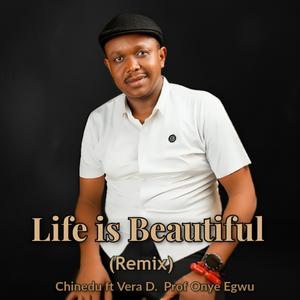 Life is Beautiful (La Vie Est Belle) II (feat. Vera D & Professor Onye Egwu)