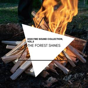 The Forest Shines - 2020 Fire Sound Collection, Vol.5