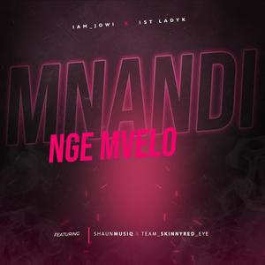 Mnandi Nge Mvelo(feat. Shaun MusiQ & Team_Skinnyred_Eye)