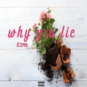 Why You Lie (Explicit)