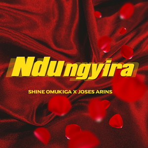 Ndungyira