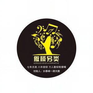 杀无赦封面