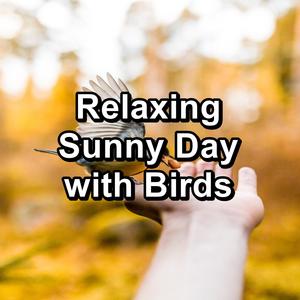 Relaxing Sunny Day with Birds