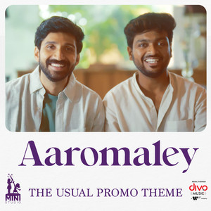 Aaromaley - The Usual Promo Theme (From 