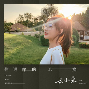 住进你的心痛 (DJ沈念版)