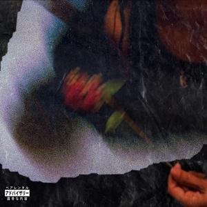 Taxi Driver (Explicit)