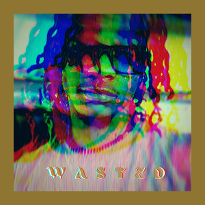 Wasted (Explicit)