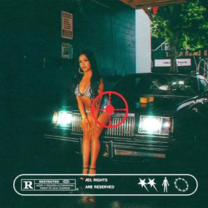 LEI VUOLE (feat. TravOnTheTrack) (Explicit)