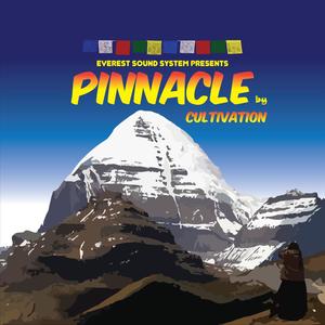 PINNACLE (Explicit)