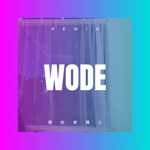 我的老情人 (DJ版)