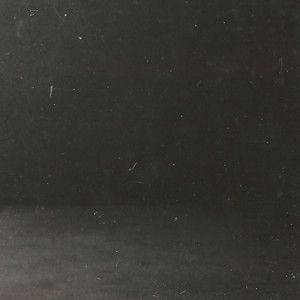 I'll Ask You 50 Questions