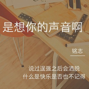 是想你的声音啊 (男声版)