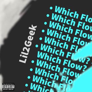 Which Flow? (Explicit)