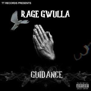 Guidance (Explicit)