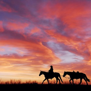 The Last Western Cowboys