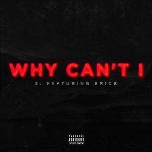 Why Can't I(feat. Brick) (Explicit)