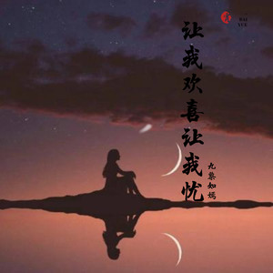 让我欢喜让我忧 (Remix)