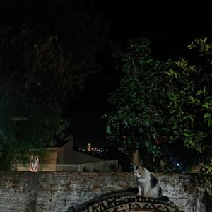 longe de casa (Explicit)