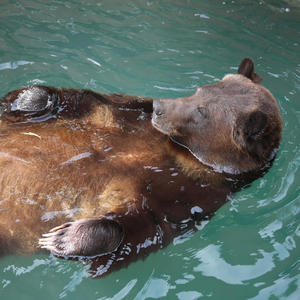 naïve (feat. alt0 & riv) (Explicit)