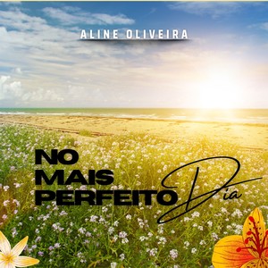 No Mais Perfeito Dia