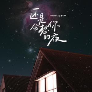 还是会想你的夜封面