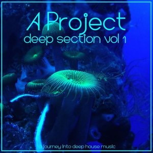 Deep Section , Vol1