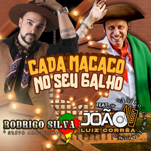 Cada macaco no seu galho