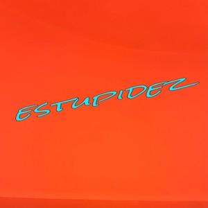 Carlos Javier - Estupidez