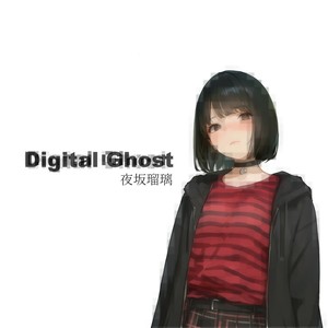 Digital Ghost